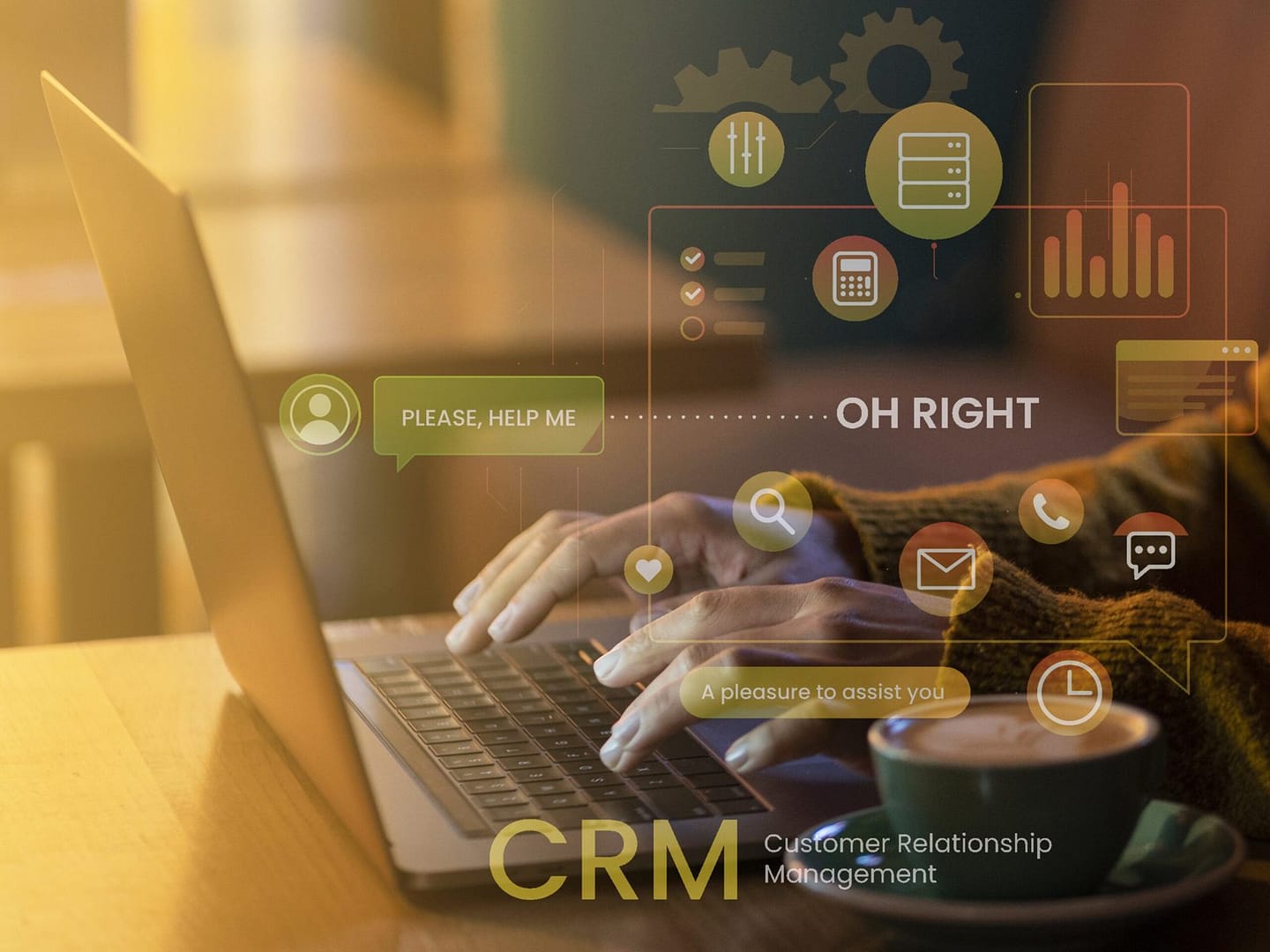 crm-development-in-noida